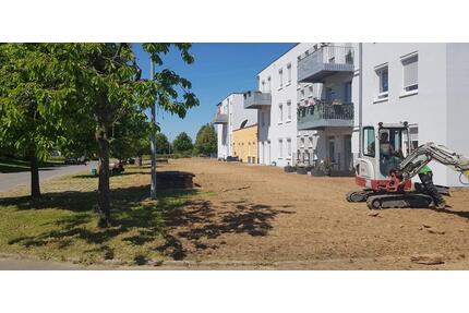 Mietwohnung mit Aufzug und Balkon, 2 Zimmer, 70 m2, Külsheim (W6)