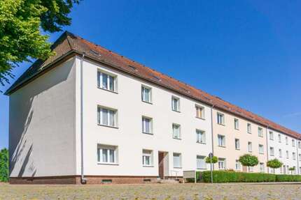 Wohnung zum Mieten in Magdeburg 520,00 € 65 m²