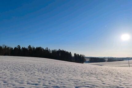 Wohnung Mietwohnung - 1.150,00&nbsp;EUR Kaltmiete, ca.&nbsp; 150,00&nbsp;m&sup2; in Thyrnau (PLZ: 94136)