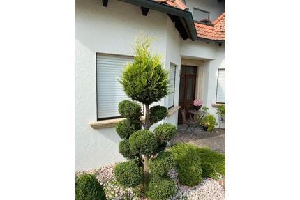 1 Zimmer Wohnung zum vermieten - 640,00&nbsp;EUR Kaltmiete, ca.&nbsp; 35,00&nbsp;m&sup2; in Bamberg (PLZ: 96052) Bamberg-Ost