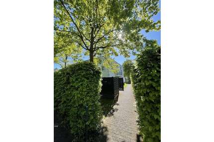 Wohnung zum Mieten in Bonn 1.100,00 € 74 m²