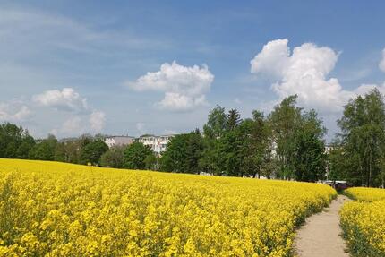 2 Zimmer zum Glück! - 345,00&nbsp;EUR Kaltmiete, ca.&nbsp; 50,59&nbsp;m&sup2; in Freiberg (PLZ: 09599)