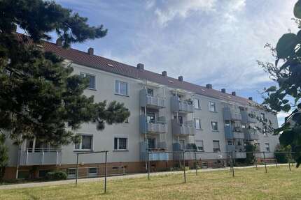 Wohnung zum Mieten in Lutherstadt Wittenberg 315,00 € 61 m²