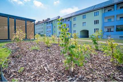 Wohnung zum Mieten in Eberswalde 735,50 € 73.55 m²