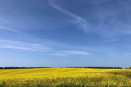 Grundstück zu verkaufen in Thelkow 75.000,00 € 2255 m²