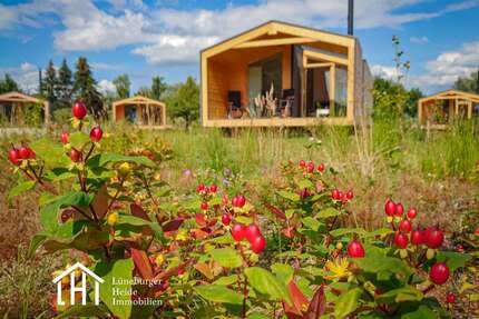 Haus zum Kaufen in Bleckede 128.000,00 € 35 m²