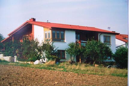 helles, möbl. 1,5 Zi. Apartment, neu renoviert, neue Einbauküche - Ober-Olm