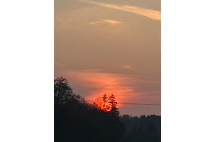 Pflege- und Demenz WG - statt Pflegeheim eine Altersresidenz - Traunstein