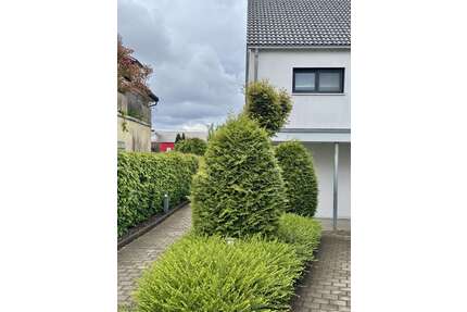 Wohnung zum Mieten in Lindau 880,00 € 67 m²