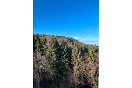 3-Zimmer Wohnung ✅ mit Balkon & Tiefgaragenstellplatz - Immenstadt im Allgäu