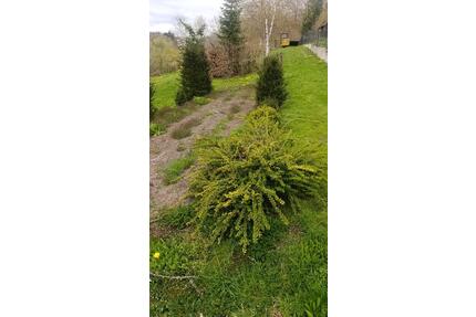 Gartengrundstück zu verpachten - 45,00&nbsp;EUR Kaltmiete, ca.&nbsp; 0,00&nbsp;m&sup2; in Nürtingen (PLZ: 72622)