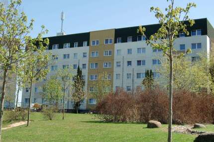 Wohnung zum Mieten in Prenzlau 440,00 € 64.63 m²