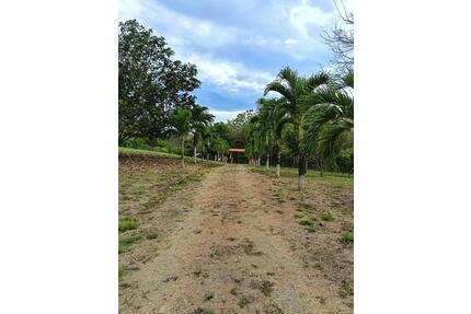 Grundstück - 70,00&nbsp;EUR Kaltmiete, ca.&nbsp; 0,00&nbsp;m&sup2; in Freiburg im Breisgau (PLZ: 79117) Ebnet