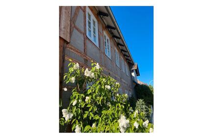 Stadthaus, saniertes Fachwerkhaus im Dorfkern BS-Stöckheim - Braunschweig Heidberg-Melverode
