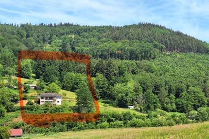 Charmantes Haus in Traumlage am Rande von Ettenheimmünster