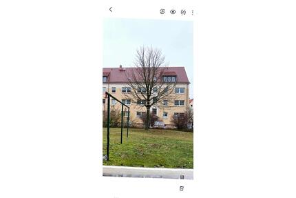 helle 3-Raum-Wohnung sofort bezugsfertig, Einbauküche möglich - Mügeln