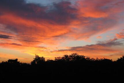 Appartement mit Waldblick in Wegberg.