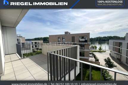 Wohnung zum Mieten in Speyer 1.100,00 € 55 m²