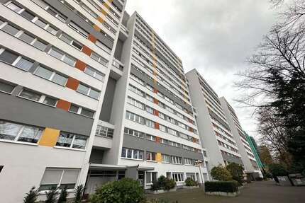 Wohnung zum Kaufen in Rodgau 259.000,00 € 144 m²