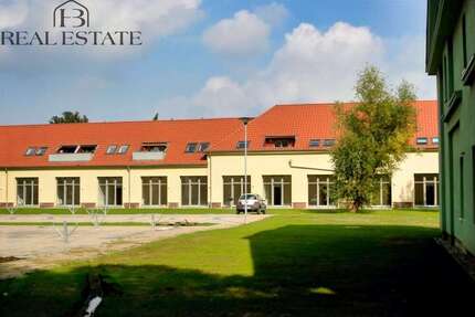 Wohnung zum Mieten in Magdeburg 500,00 € 64.7 m²