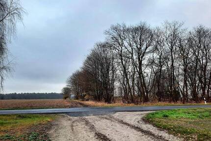 Entwicklungsgrundstücke vor den Toren Berlins - Altlandsberg Fasanenpark