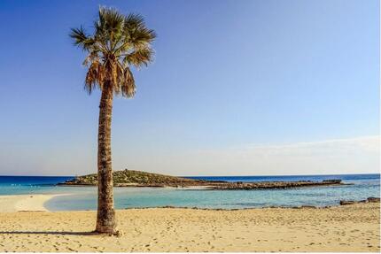 ###ZYPERN - AUSWANDERN - YELLOW-SLIP - NON-DOM### - Höchst im Odenwald