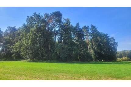 Bauerwartungsland - 50.000,00&nbsp;EUR Kaufpreis, ca.&nbsp; 0,00&nbsp;m&sup2; in Büchenbach (PLZ: 91186) Aurau