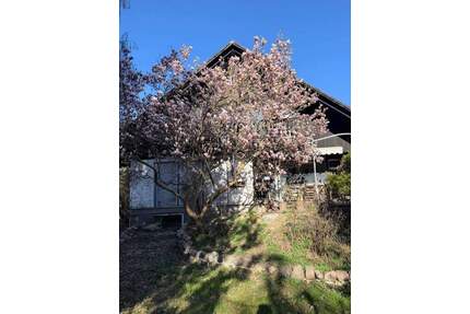 Provisionsfrei in Kladow - Freistehendes Haus mit Naturgarten, Photovoltaik für die Großfamilie - Berlin