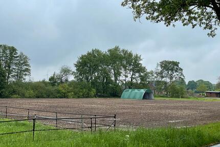 Ackerland Grünland Wiese Ausgleichsfläche Pferde - Straelen
