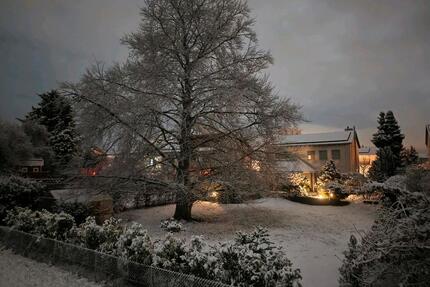 Toplage direkt an der Rheinpromenade - Lampertheim