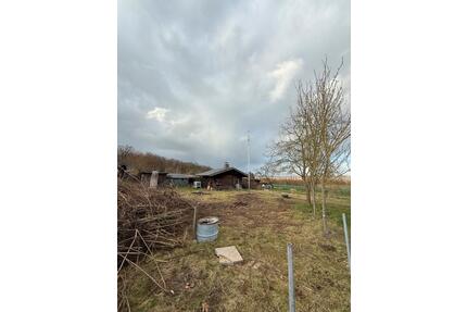 Kleingarten abzugeben. Nähe Bockenem - Hildesheim