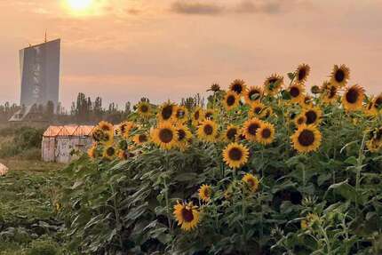 Wohnung zum Kaufen in Frankfurt am Main 450.000,00 € 80 m²