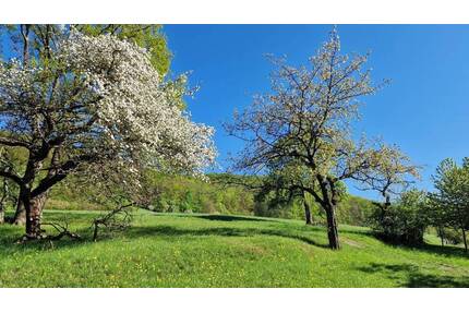 Traumhaftes Baugrundstück in idyllischer, sehr ruhiger Lage in Jena