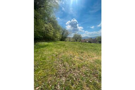 Gartengrundstück - 100,00&nbsp;EUR Kaltmiete, ca.&nbsp; 0,00&nbsp;m&sup2; in Albbruck (PLZ: 79774)