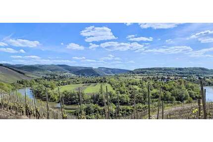 Haus zum Kaufen in Wiltingen 699.000,00 € 290 m²