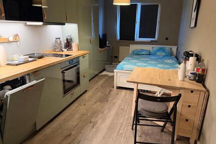 Einzimmerwohnung in Trier-zentral gelegen voll möbliert 470 Warm