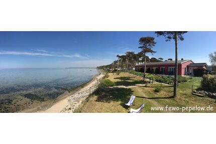 Lastminute, FeWo Pepelow, erste Reihe, Ostsee, Urlaub, Sommer - Neubukow