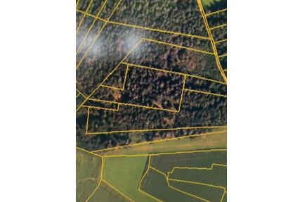 Wald 8.520 qm in 83339 Chieming Schützing - München Ramersdorf-Perlach