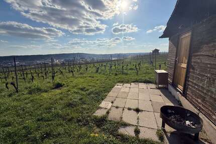 Grundstück zu verkaufen in Stuttgart 49.000,00 € 1180 m²