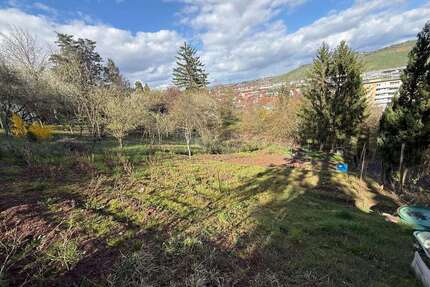 Grundstück zu verkaufen in Stuttgart 17.000,00 € 803 m²