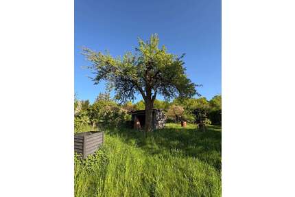 Grundstück zu verkaufen in Stuttgart 25.000,00 € 542 m²