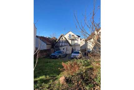 Haus zum Kaufen in Freisbach 625.000,00 € 280 m²