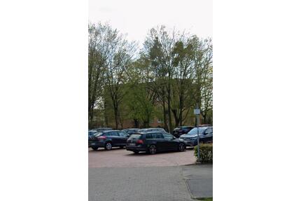 3 Zimmer Wohnung mit Balkon Wolfsburg