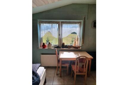 1 Zimmer zu vermieten - 300,00&nbsp;EUR Kaltmiete, ca.&nbsp; 30,00&nbsp;m&sup2; in Borken (PLZ: 46325)