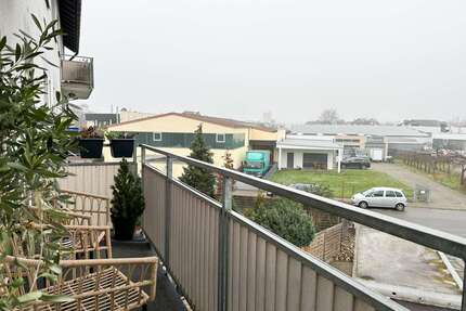 Wohnung zum Mieten in Oftersheim 1.050,00 € 96 m²