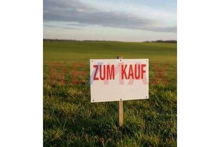 Grundstück zu verkaufen in Monsheim 260.000,00 € 644 m²