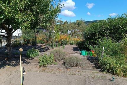 Kleingarten zur Pacht - 400,00&nbsp;EUR Kaltmiete, ca.&nbsp; 0,00&nbsp;m&sup2; in Cottbus (PLZ: 03042) Merzdorf