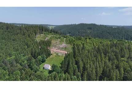 Haus zum Kaufen in Furtwangen im Schwarzwald 280.000,00 € 130 m²