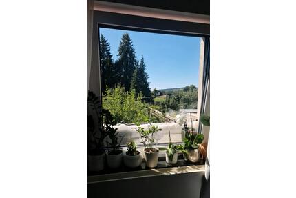 Kleine gemütliche 2-Zimmer-Wohnung zu vermieten - Solms