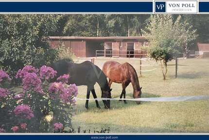 Haus zum Kaufen in Oetzen 470.000,00 € 150 m²